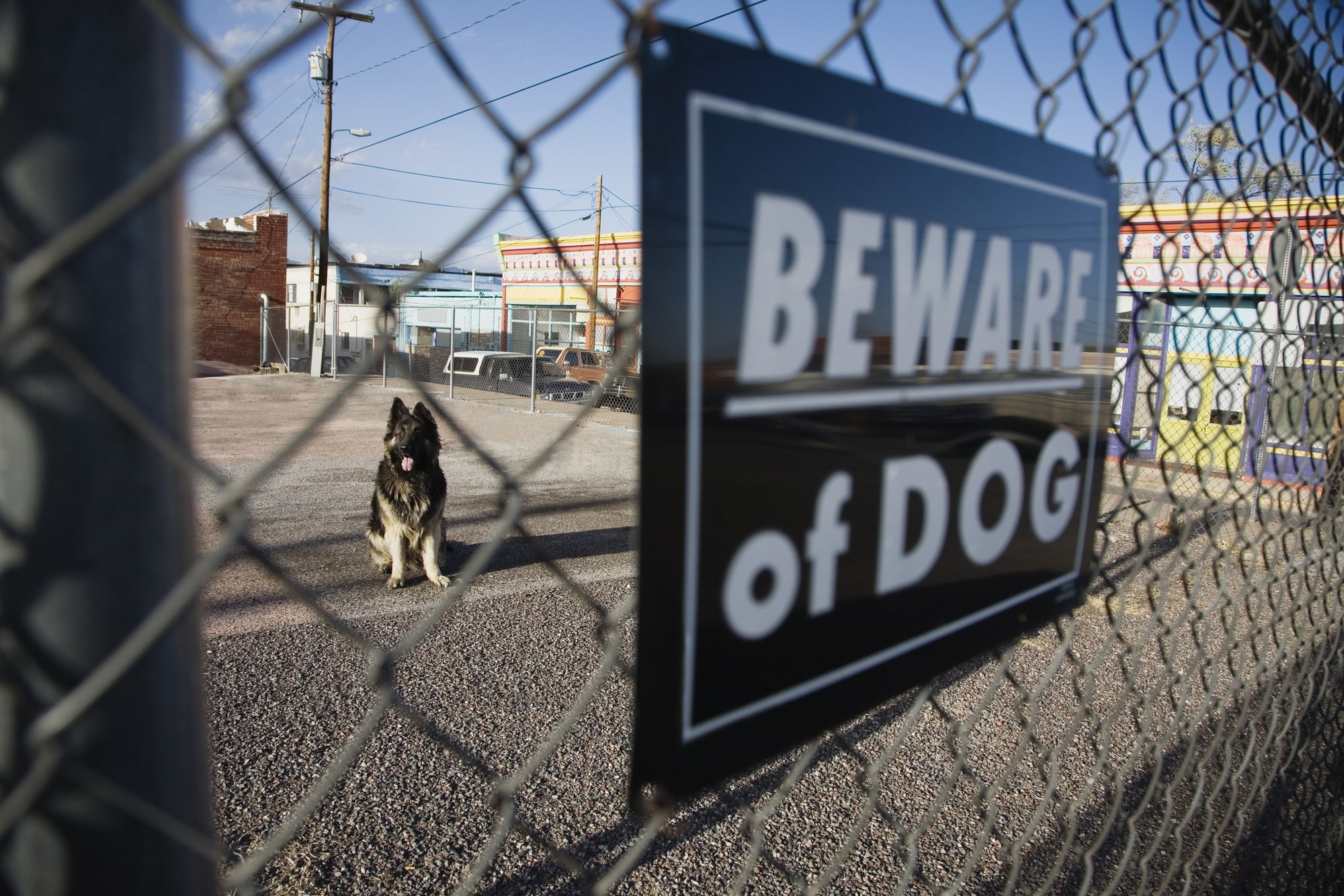 Georgia Landlord Liability for Dog Attacks